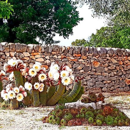 Casa Relax Isabelle Bed & Breakfast Alberobello Bagian luar foto