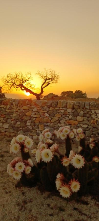 Casa Relax Isabelle Bed & Breakfast Alberobello Bagian luar foto