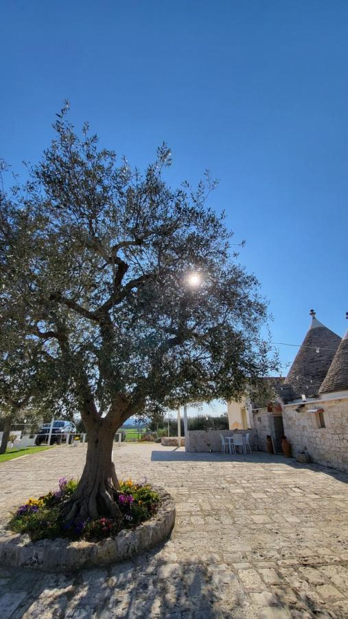 Casa Relax Isabelle Bed & Breakfast Alberobello Bagian luar foto