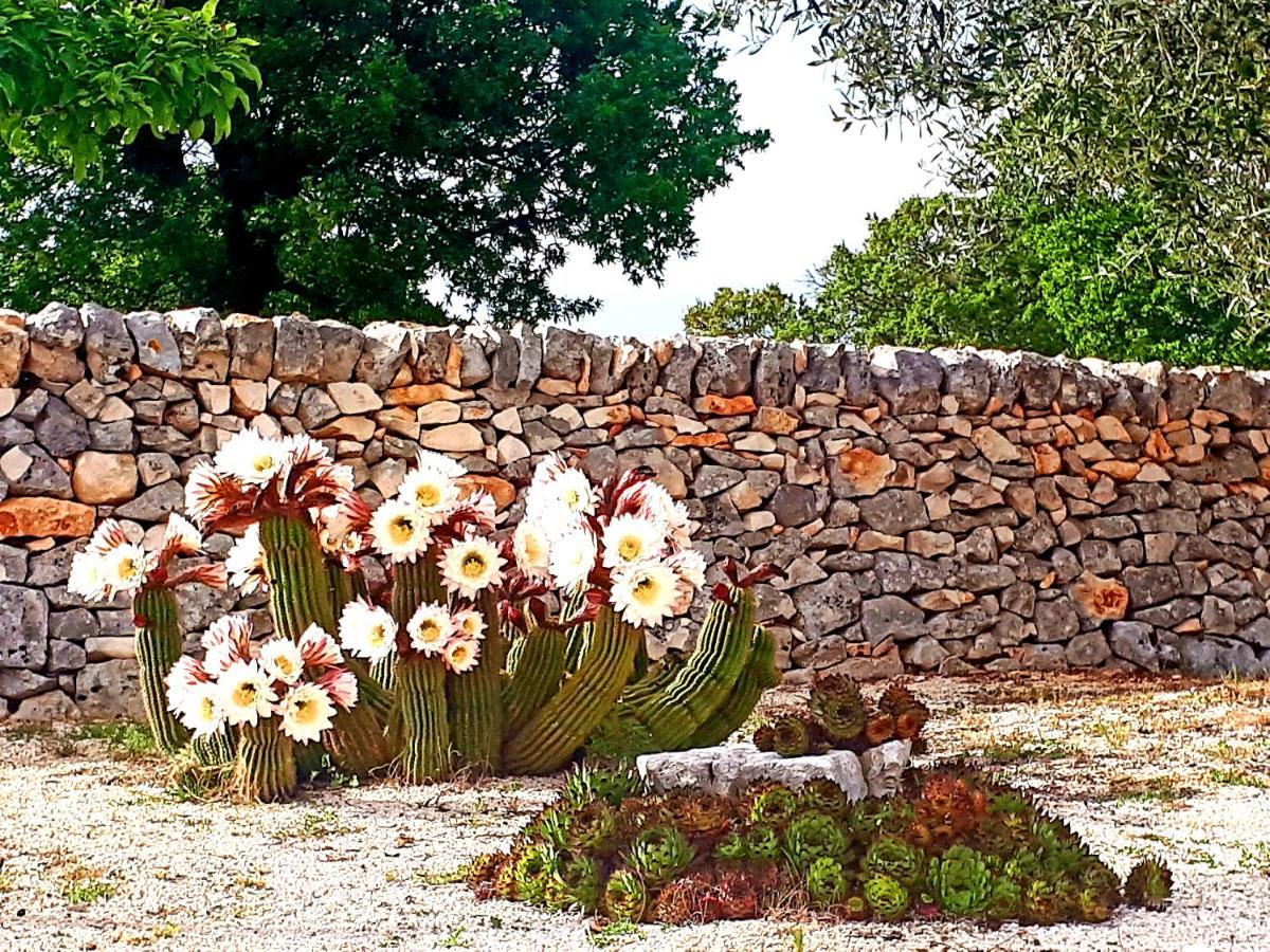 Casa Relax Isabelle Bed & Breakfast Alberobello Bagian luar foto